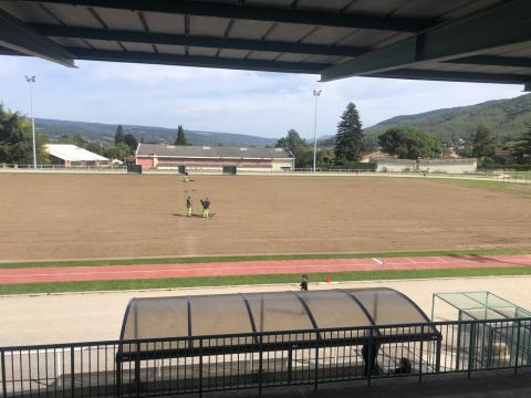Pelouse stade (PC)