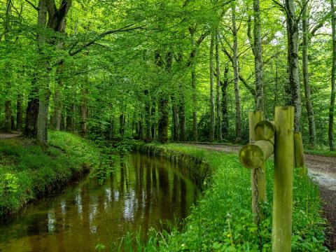 "EAUX ET PAYSAGES SUR LES RIGOLES" 