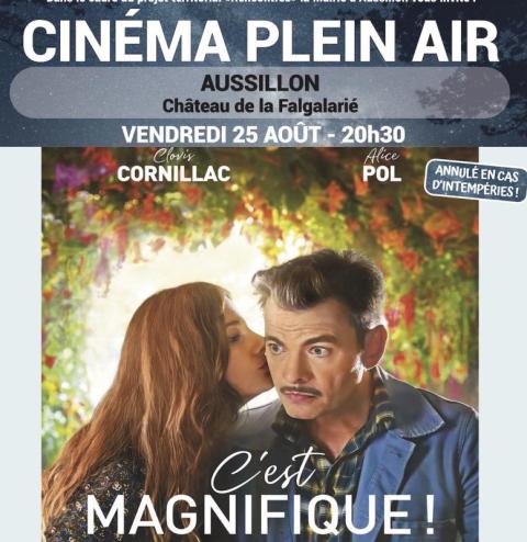 Ciné plein air