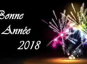 Bonne année 2018