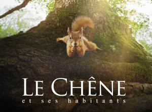 FILM LE CHÊNE DR