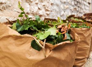 COLLECTE DES DECHETS VERTS EN POINTS D’APPORT VOLONTAIRE