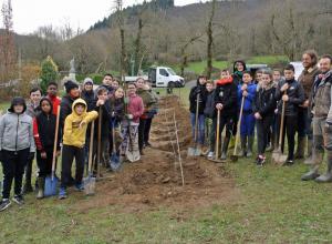 UNE FORÊT NOURRICIERE A AUSSILLON