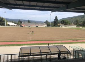 Pelouse stade (PC)