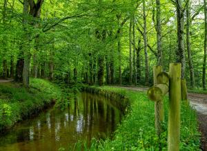 "EAUX ET PAYSAGES SUR LES RIGOLES" 