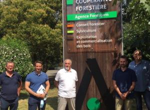 Visite Forestarn