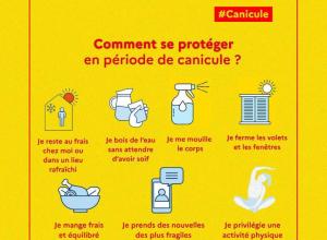 gestes canicule