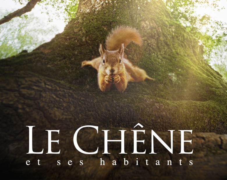 FILM LE CHÊNE DR