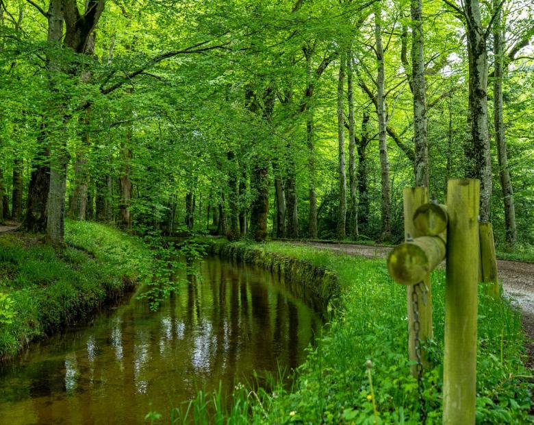 "EAUX ET PAYSAGES SUR LES RIGOLES" 