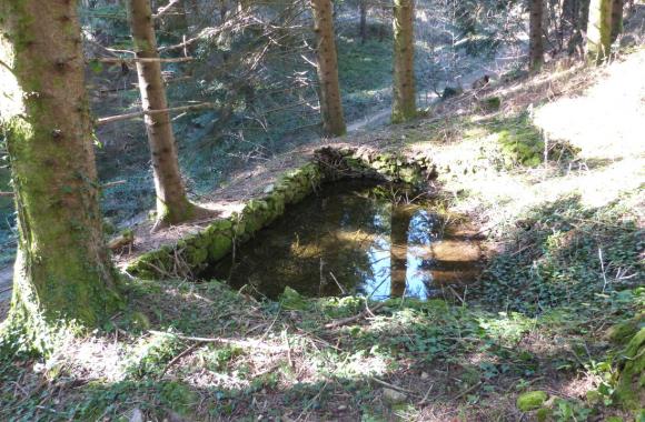 Une des nombreuses pesquières que l’on croise le long des sentiers.