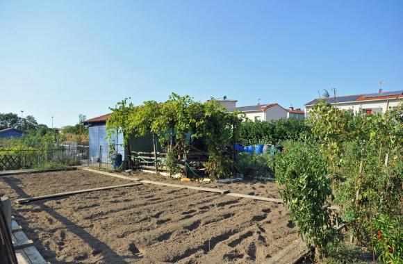 Les jardins familiaux