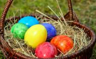 chasse aux oeufs